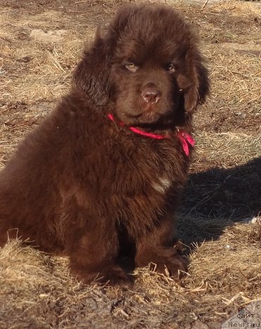 Фотография № 178487