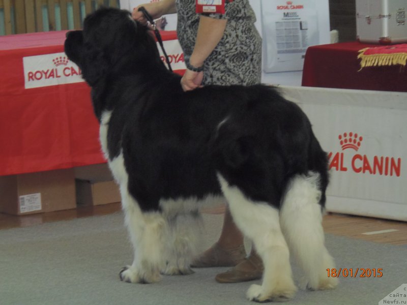 Фотография № 178491