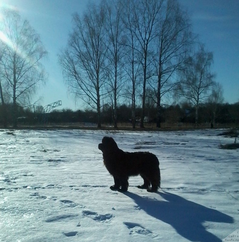 Фото: Бегущая по Волнам Царица Савская.