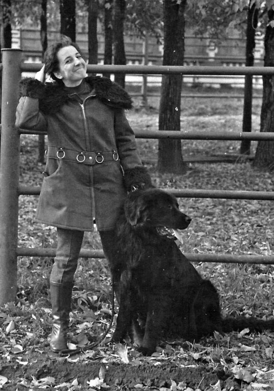 Фото: ньюфаундленд Глафи Рея