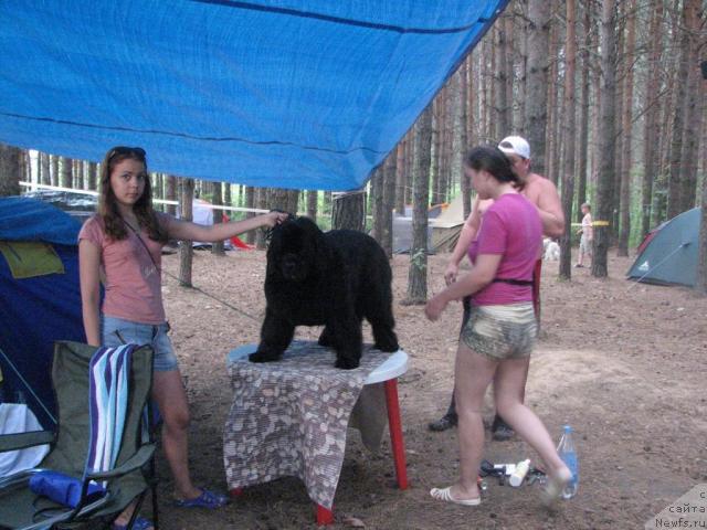 Фотография № 17852