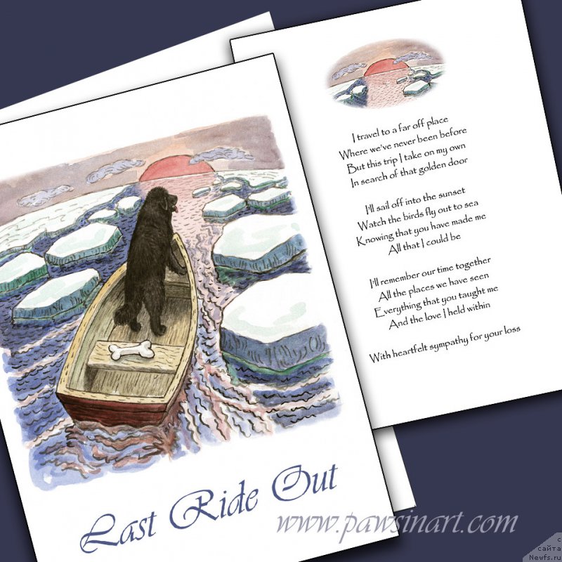 Фотография № 178536