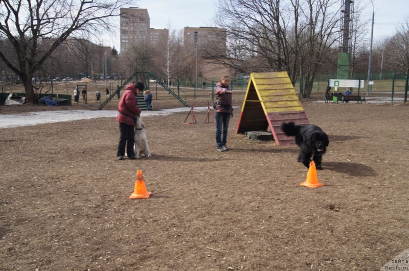 Фотография № 178569