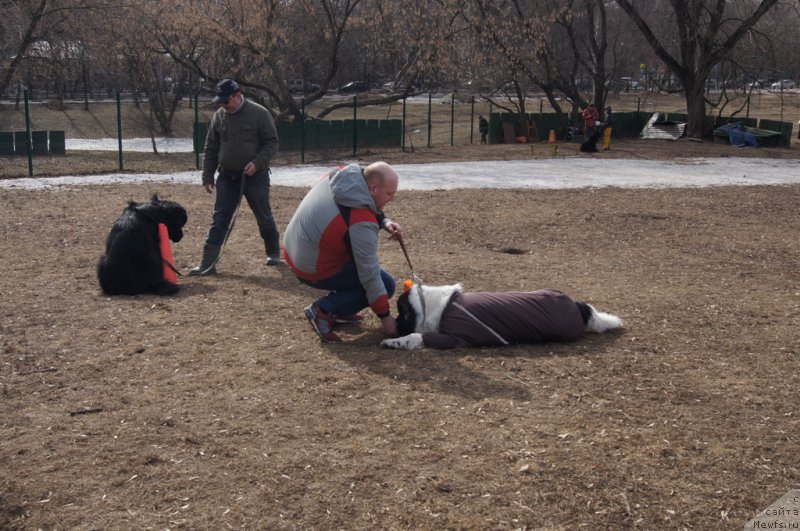 Фотография № 178571