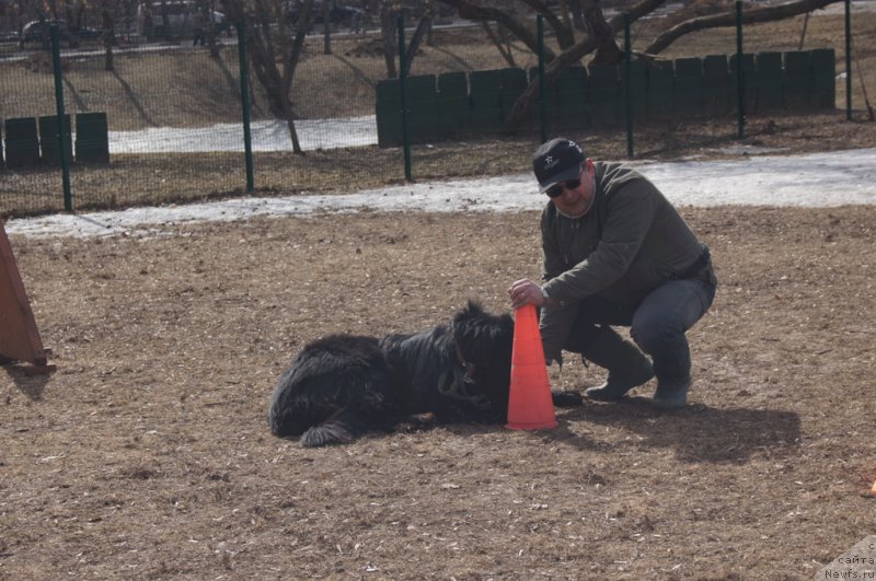 Фотография № 178573