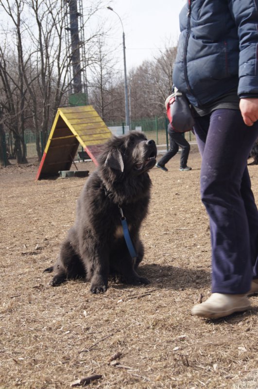 Фотография № 178580