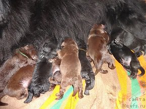 Фотография № 178584