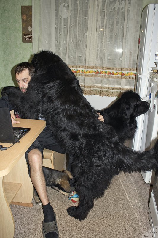 Фотография № 178589