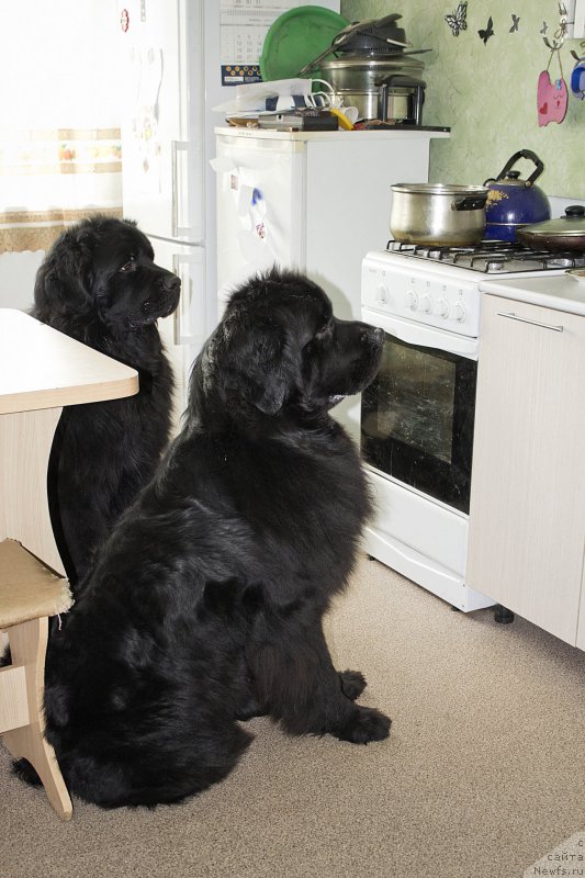 Фотография № 178590