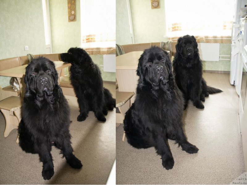 Фотография № 178591