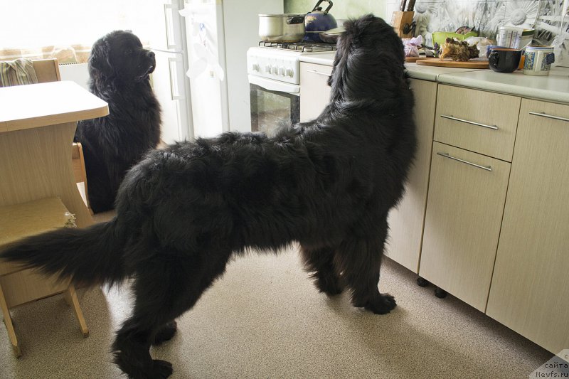 Фотография № 178595