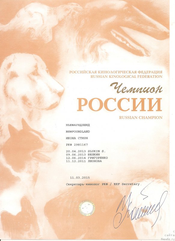 Фото: ньюфаундленд Икона Стиля