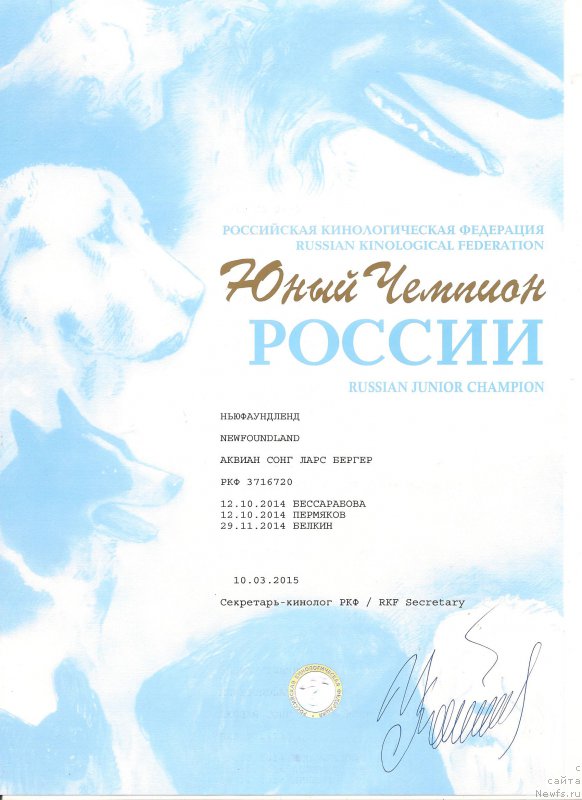 Фото: ньюфаундленд Аквиан Сонг Ларс Бергер (Akvian Song Lars Berger)