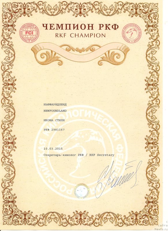 Фото: ньюфаундленд Икона Стиля