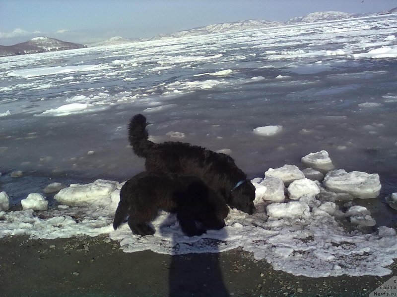 Фотография № 178623