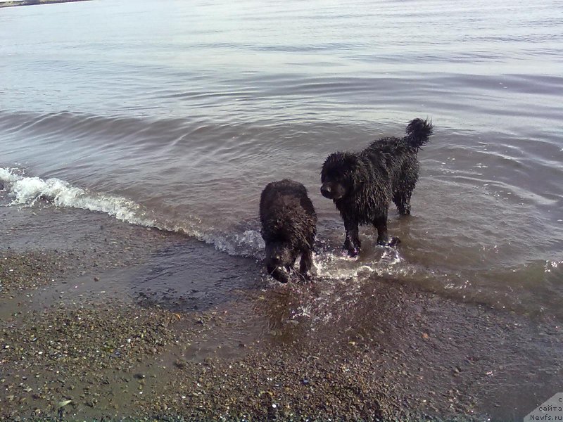 Фотография № 178624