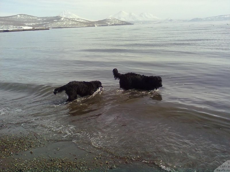 Фотография № 178625