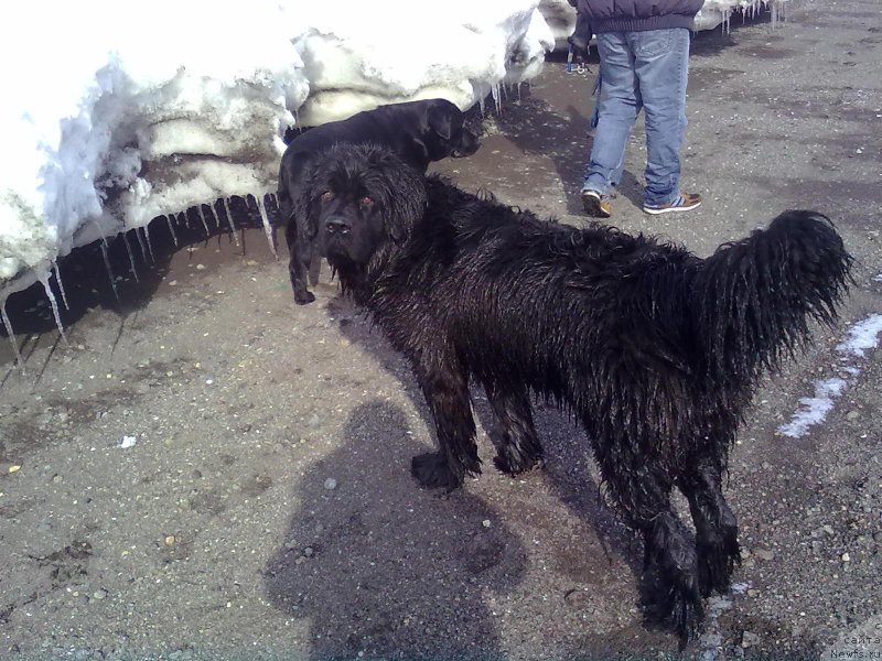 Фотография № 178626