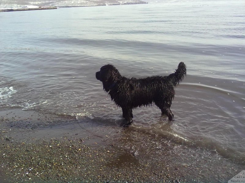 Фотография № 178627