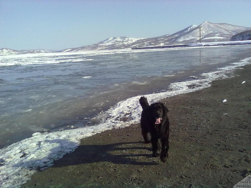 Фотография № 178628