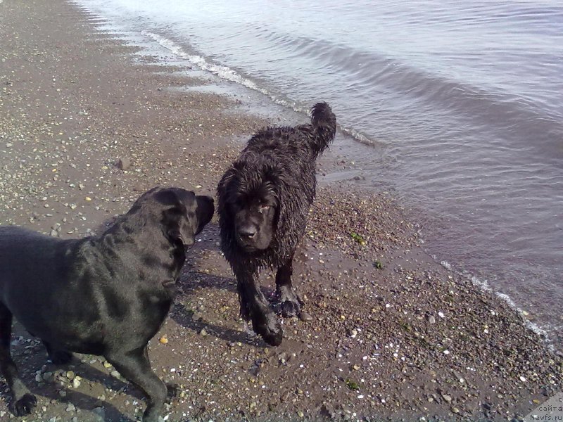 Фотография № 178630