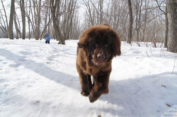 Фотография № 178638