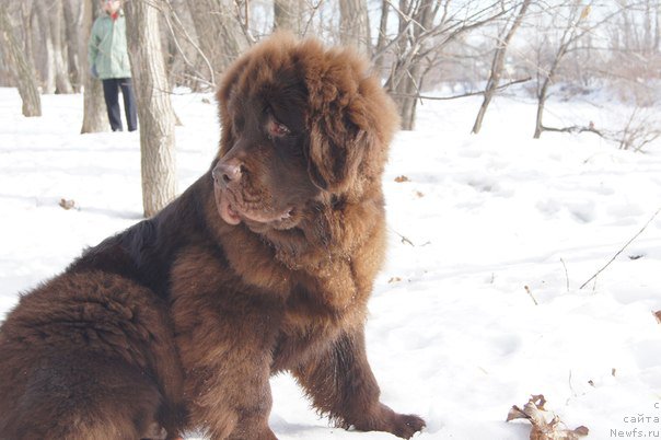 Фотография № 178639