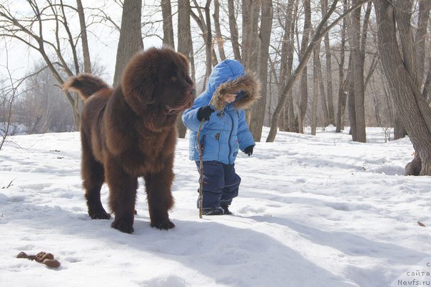 Фотография № 178641