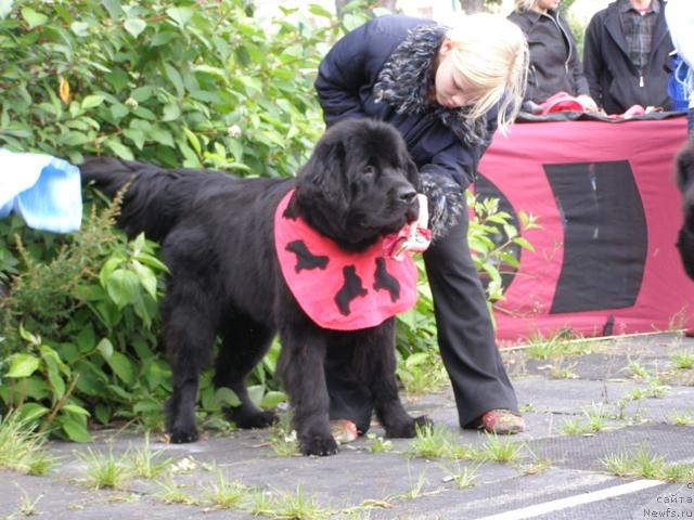 Фотография № 17869