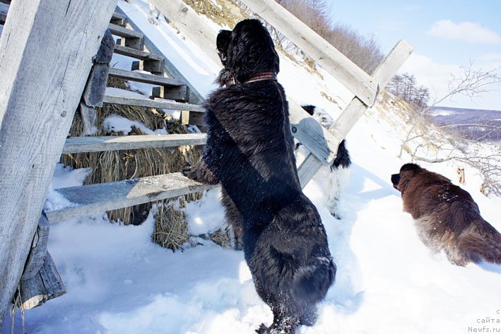 Фотография № 178711