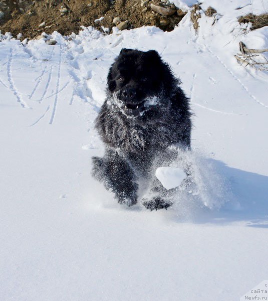 Фотография № 178712