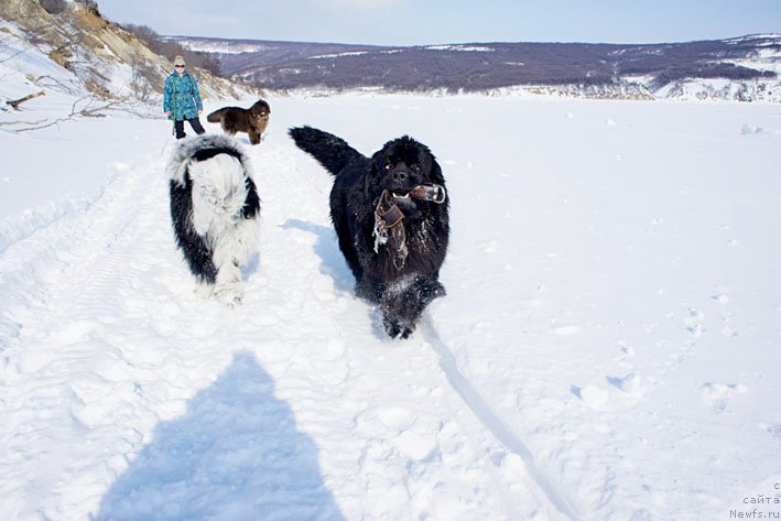 Фотография № 178713