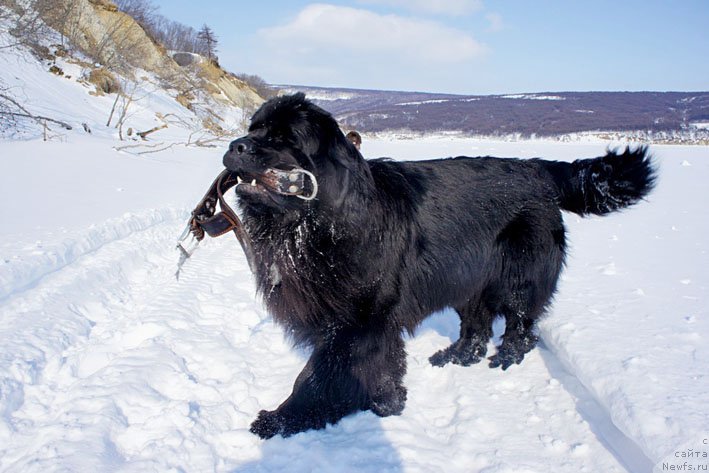 Фотография № 178714