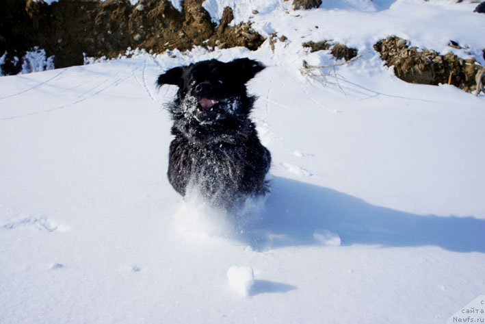 Фотография № 178715