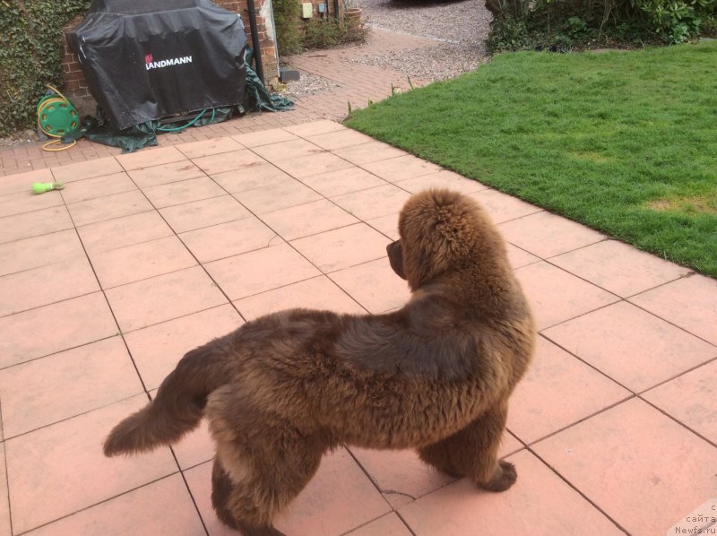 Фотография № 178716