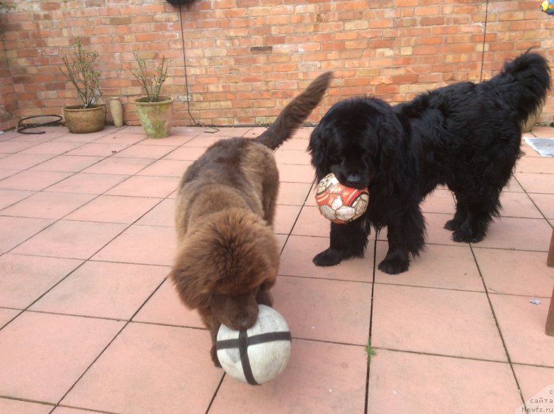 Фотография № 178717