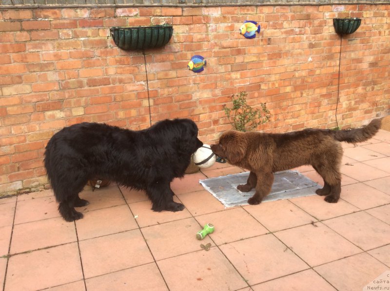 Фотография № 178718