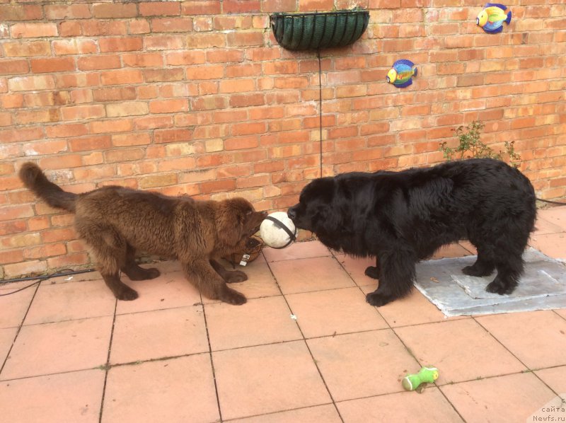 Фотография № 178719