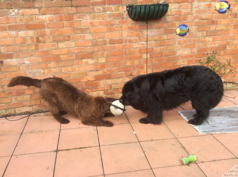 Фотография № 178720