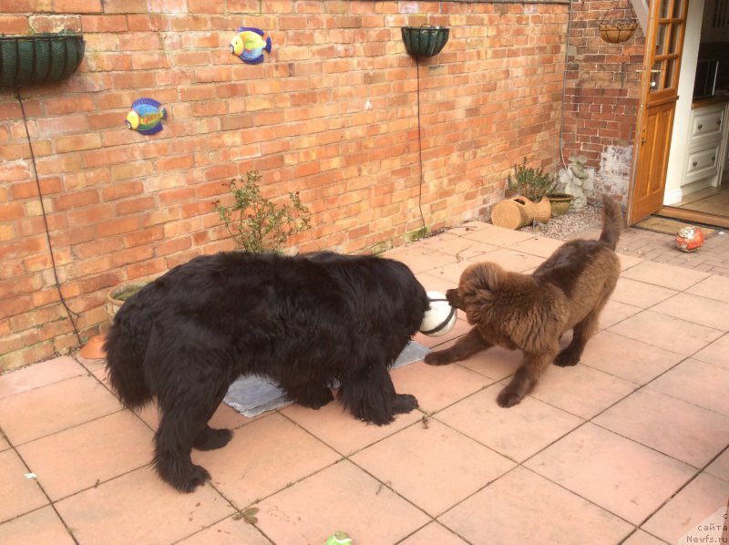 Фотография № 178721