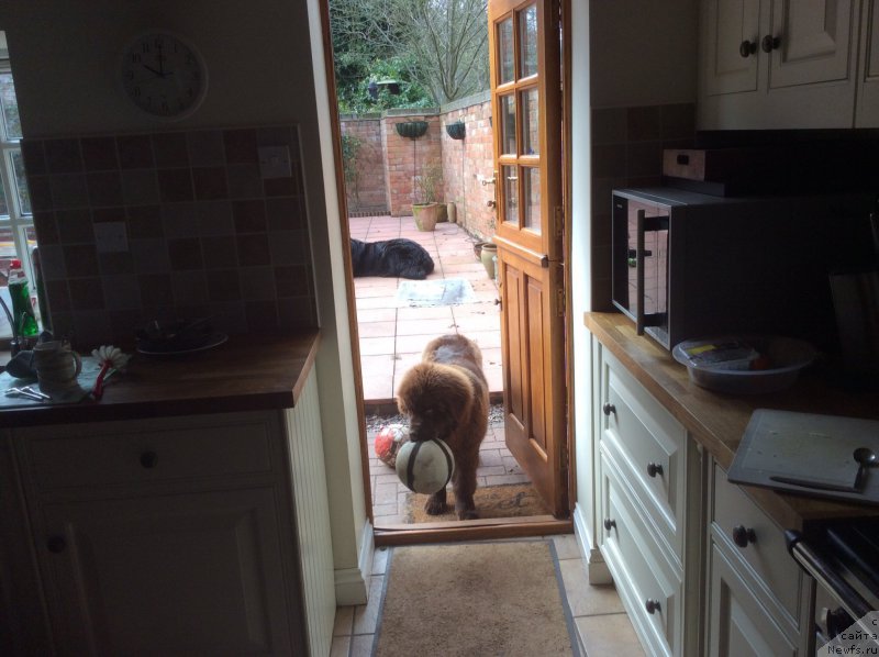 Фотография № 178722