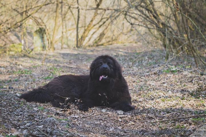 Фотография № 178745