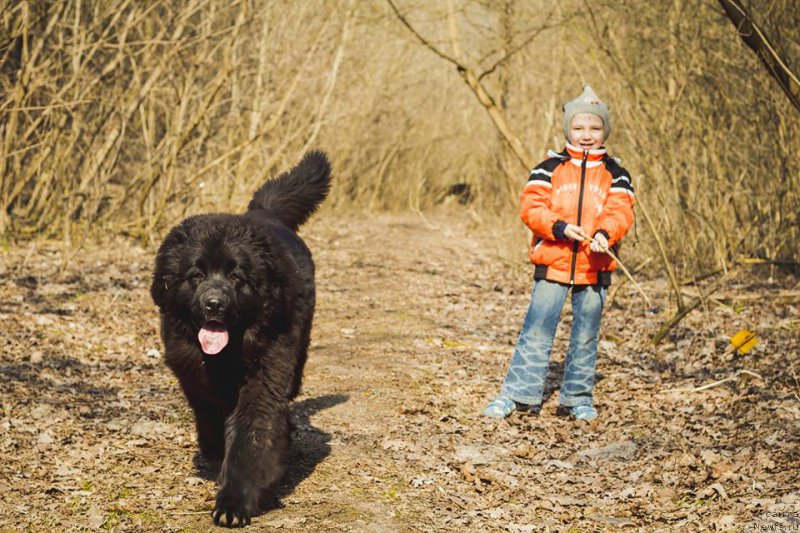 Фотография № 178746