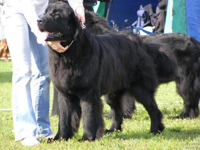 Фотография № 17876