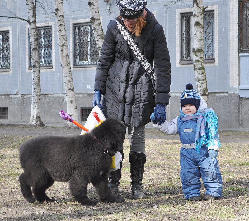 Фото: Бегущая по волнам Анаис-Анаис, Анна Олейник