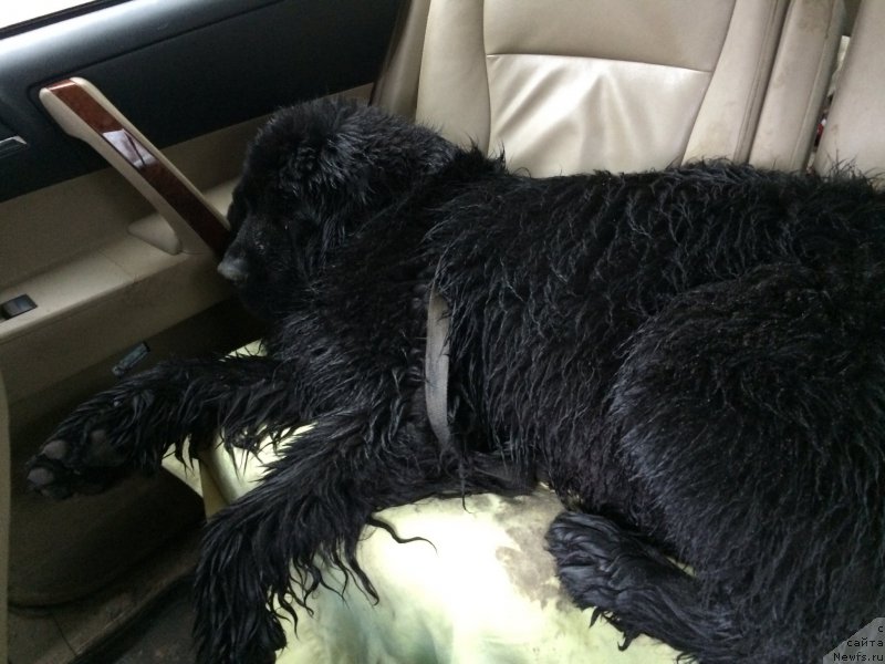 Фотография № 178794