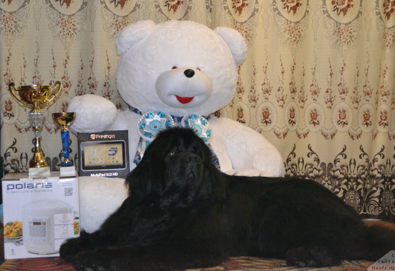 Фотография № 178795