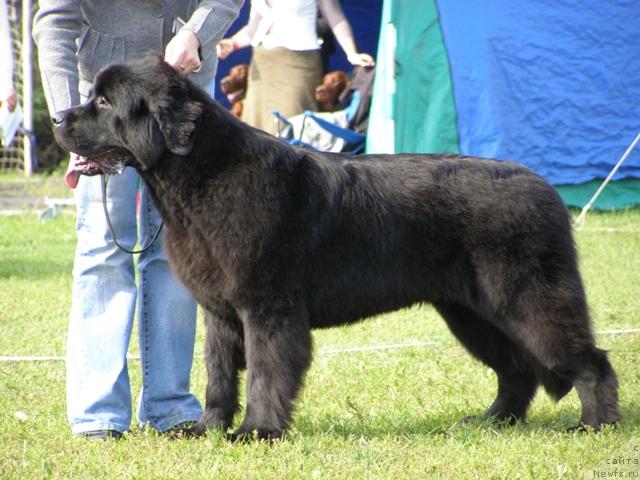 Фотография № 17880