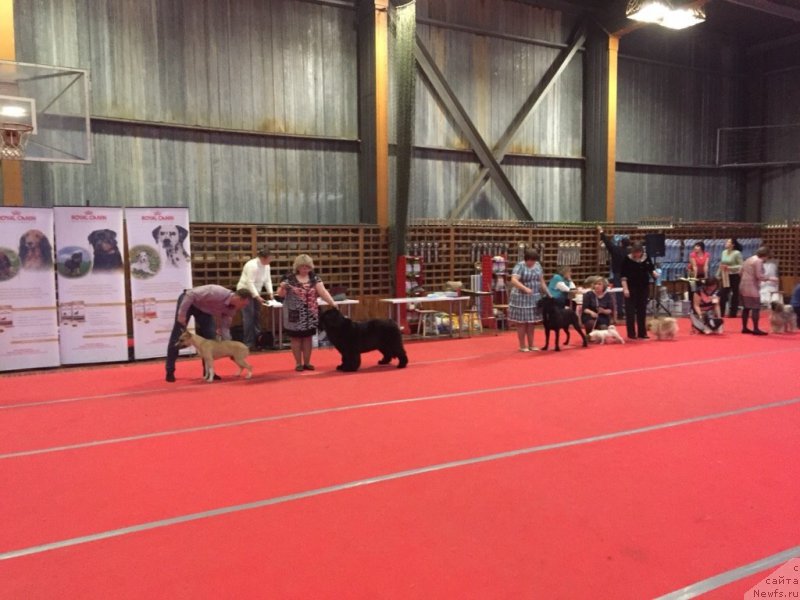 Фотография № 178815