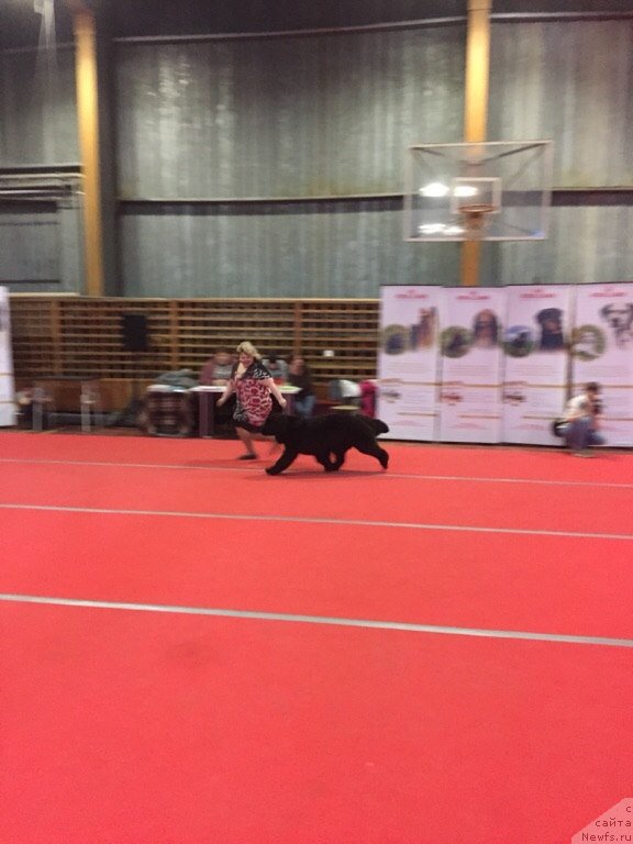 Фотография № 178819